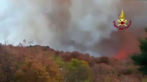 Incendio al Giglio: per 15 ore brucia macchia mediterranea, Sindaco “è doloso”