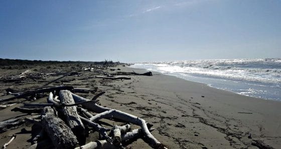 Spiagge toscane plastic free, la firma in Regione