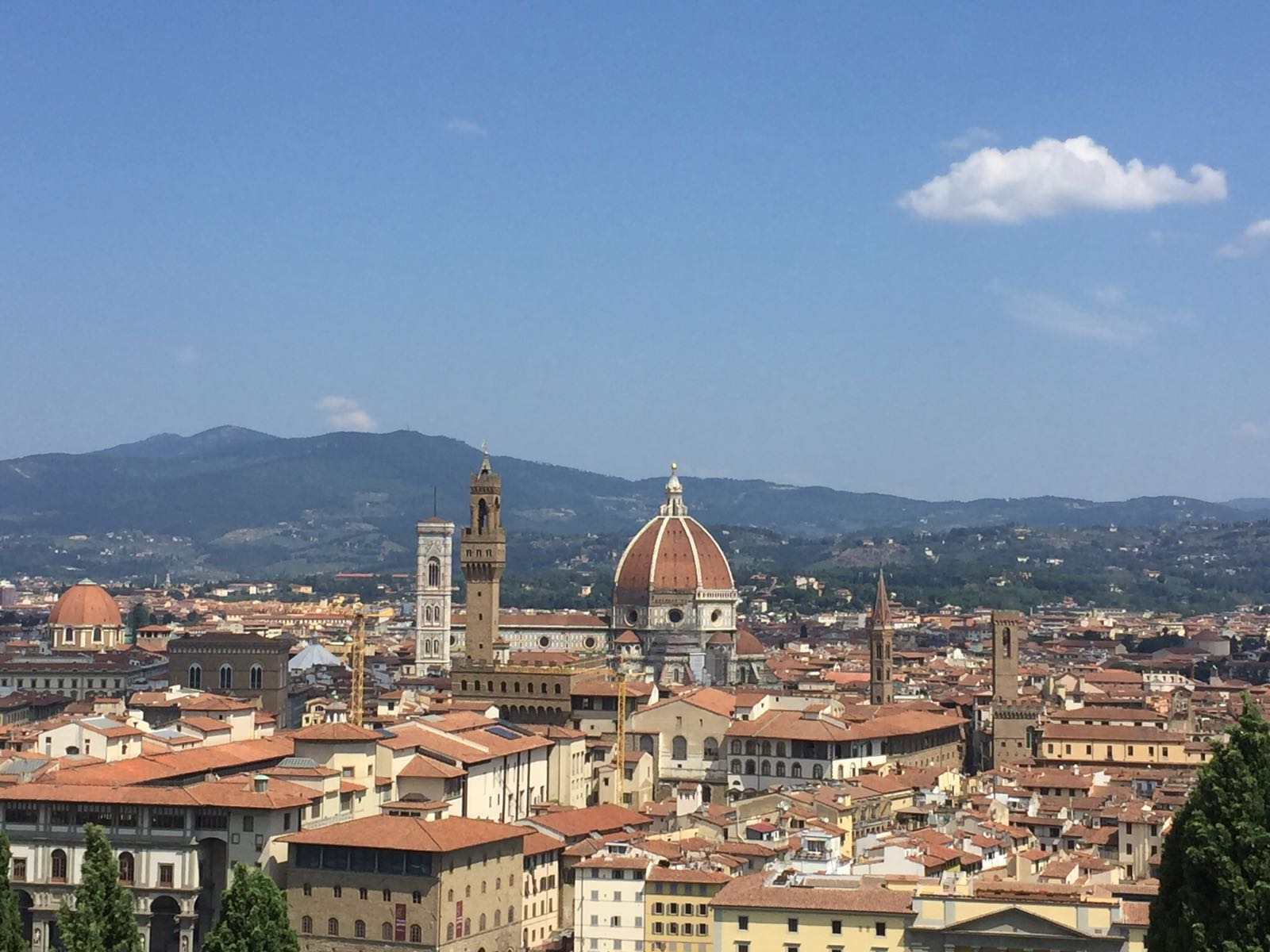 Criminalità: Firenze quarta in Italia per denunce