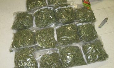 Montemurlo: 1 mln di euro da marijuana prodotta in capannnone, 3 arresti
