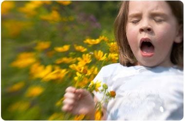 Allergie pollini: dottorando rivela meccanismi insorgenza