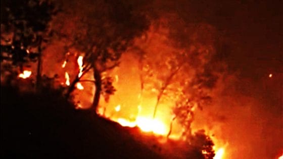 Incendi: Sillano in fase bonifica, ancora fiamme bosco Madonna di Carpineta
