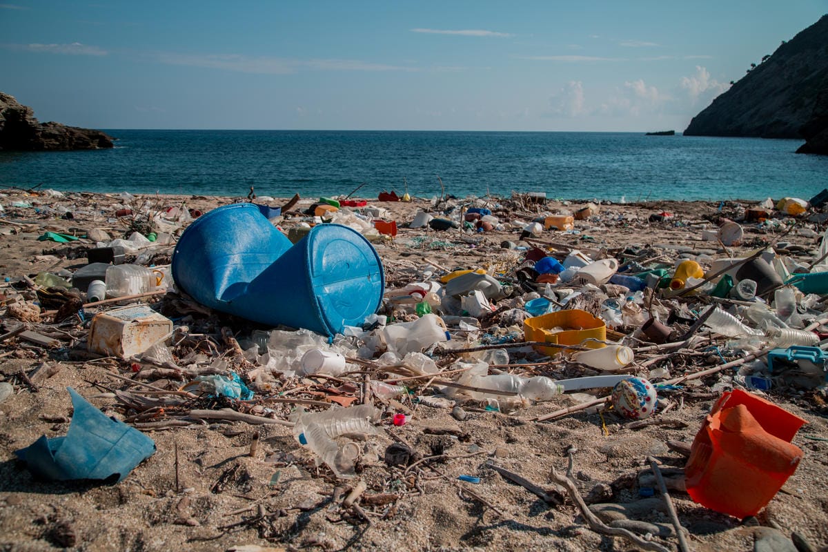 Greenpeace: Da CocaCola, Pepsi e Nestlè la  plastica che uccide gli oceani