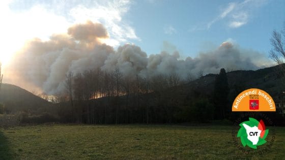 Incendio Vicopisano, 150 ettari di pineta in fiamme