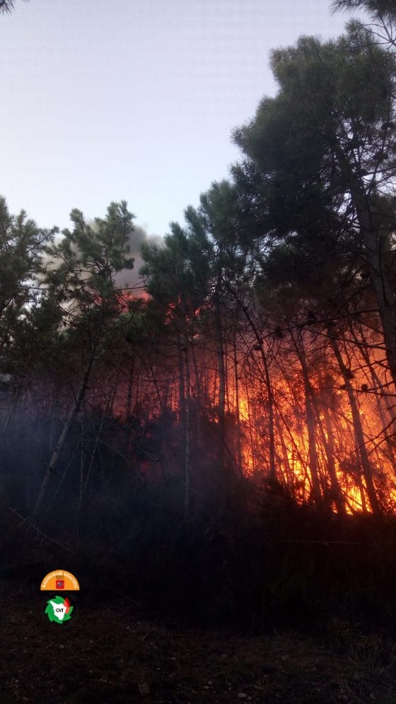 Vicopisano: incendio ancora attivo, bruciati 230 ettari