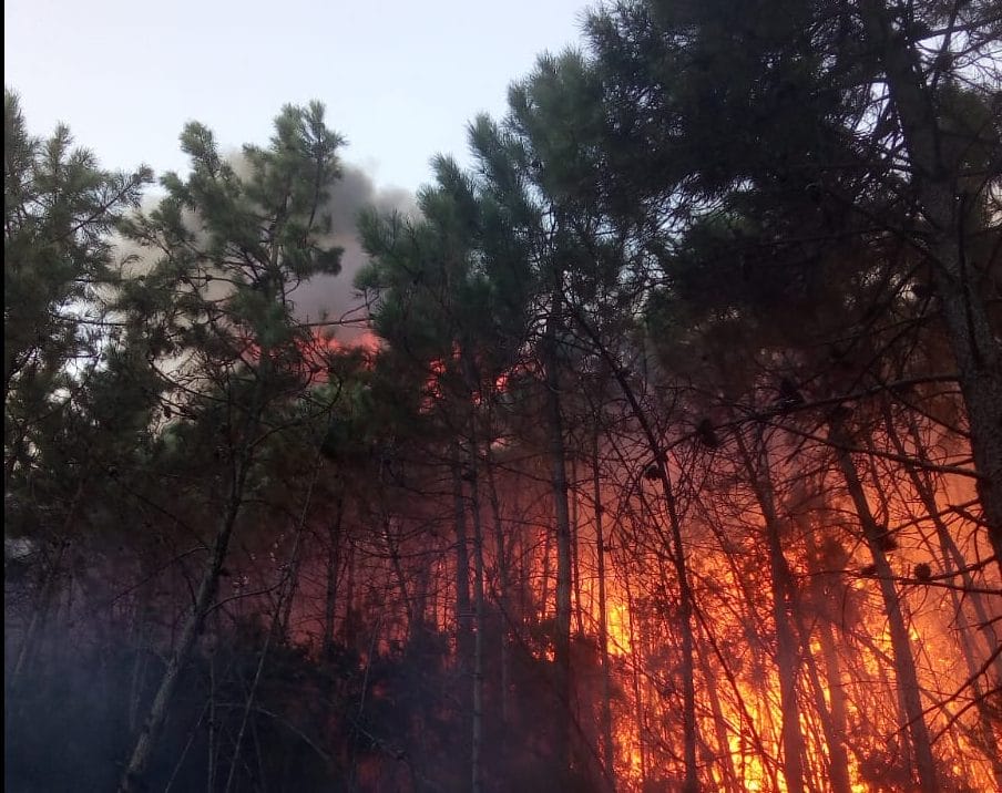 Vicopisano: incendio ancora attivo, bruciati 230 ettari