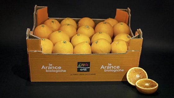 Partita distribuzione coupon per arance di “Vitamine per la scuola”