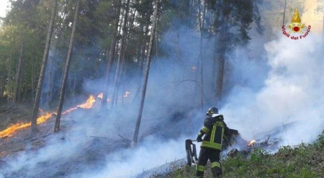 Incendio a Stazzema, bruciati 110 ettari