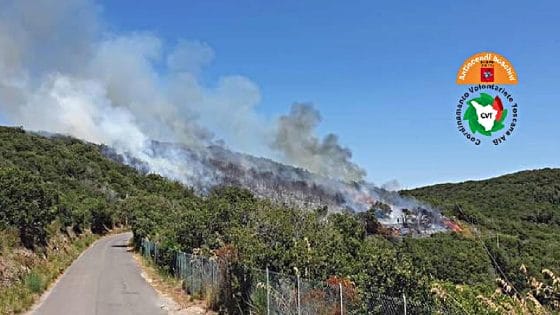 Incendio all’Argentario, bruciati 2 ettari e mezzo