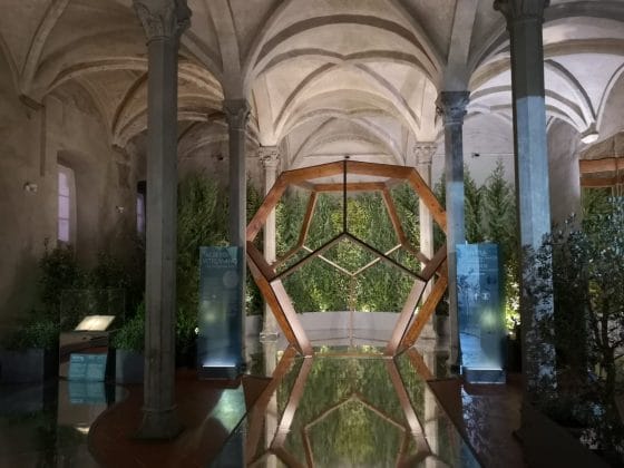 Leonardo da Vinci: la botanica del Genio in mostra a Firenze