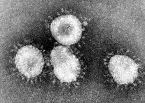 Coronavirus, Confagricoltura Toscana “preoccupano effetti economici”