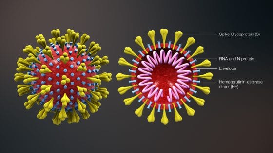 Coronavirus: in  Toscana 80% casi lieve o asintomatici