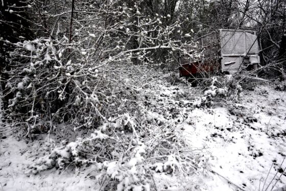 Maltempo: neve all’Abetone e gran parte Appennino Pistoiese
