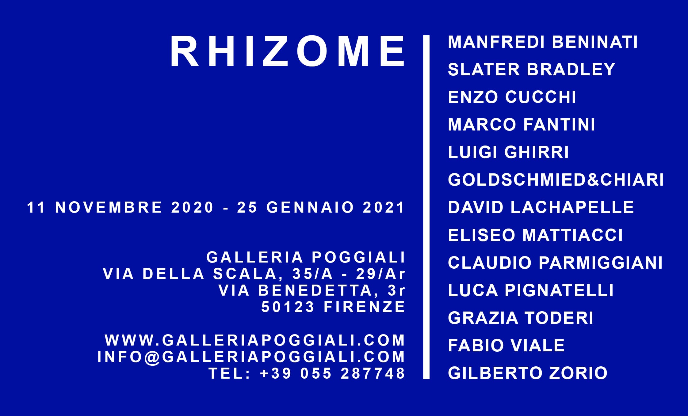 Arte: la Galleria Poggiali di Firenze propone “Rhizome”, una selezione di opere