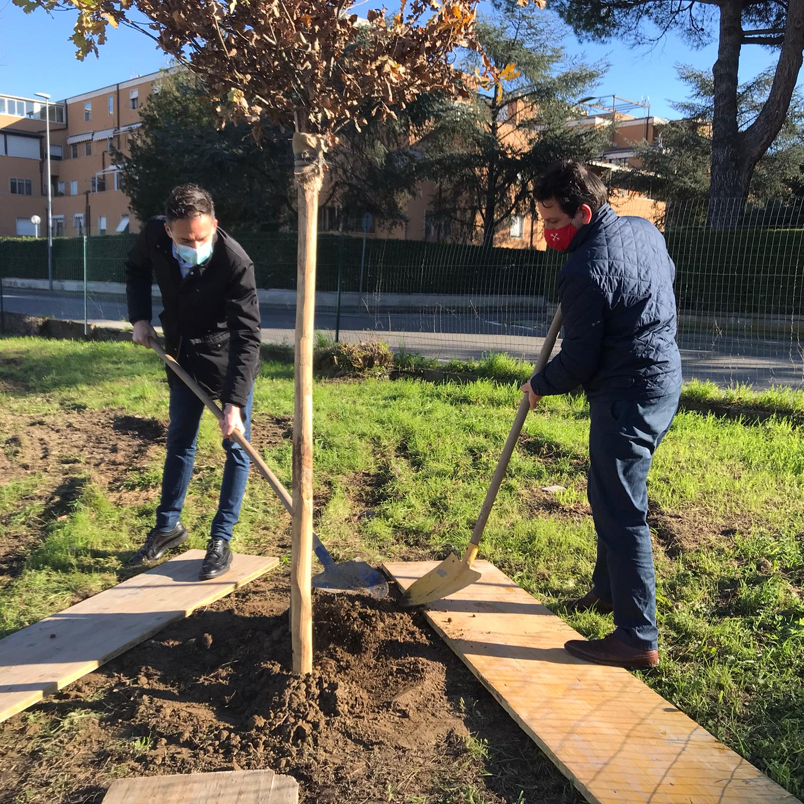 Ambiente: Firenze e Pisa piantano alberi per ogni nuovo nato