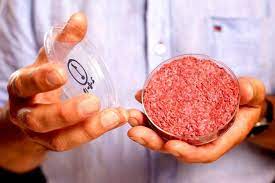 🎧 Accademia dei Georgofili: “Carne sintetica? Ancora troppe incognite, soprattutto a livello salutare”
