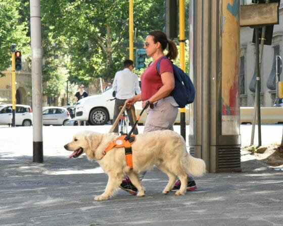 Scandicci, alla scuola per cani guida open day il 21 maggio