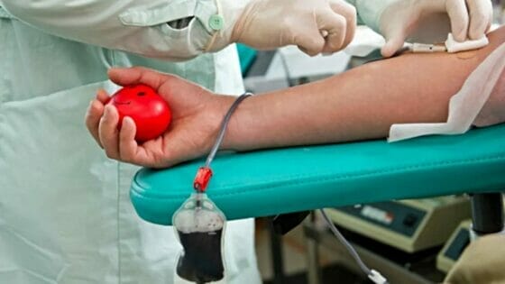 Avis-Opi agli infermieri: “Vi invitiamo ad una donazione di sangue o plasma”