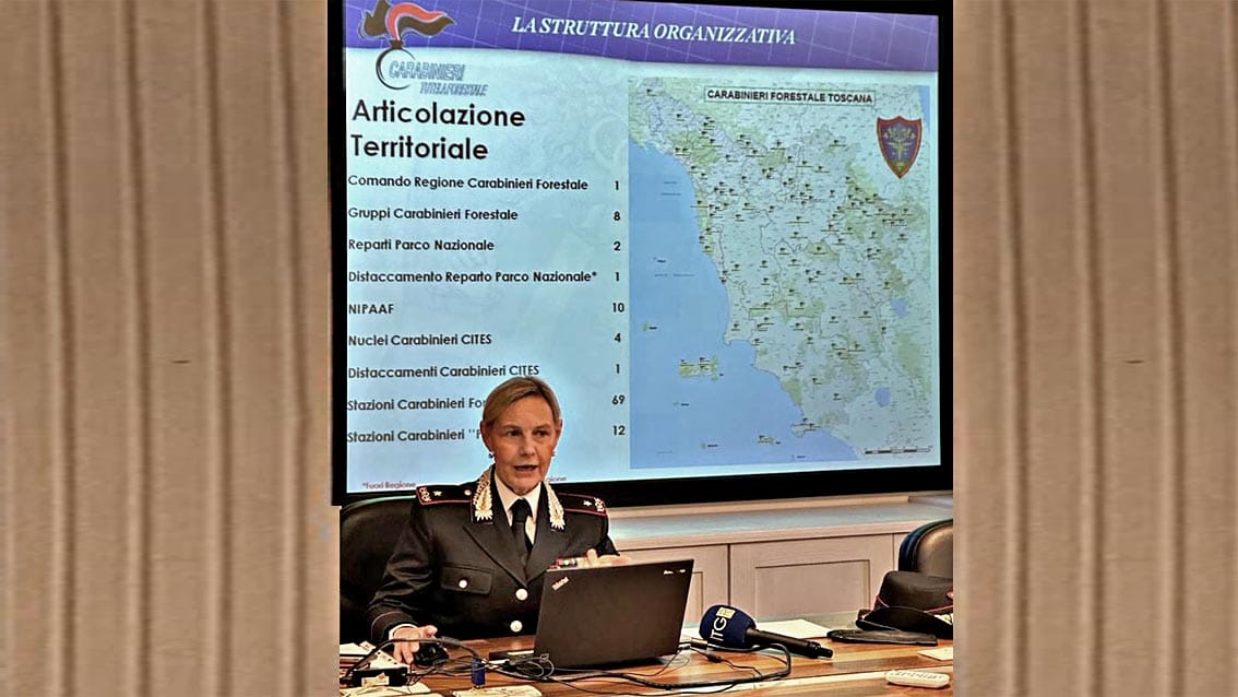 Incendi boschivi in Toscana nel 2022, Carabinieri Forestali: “Recrudescenza”. “Estate del 2022 paragonabile alla stagione del 2017”